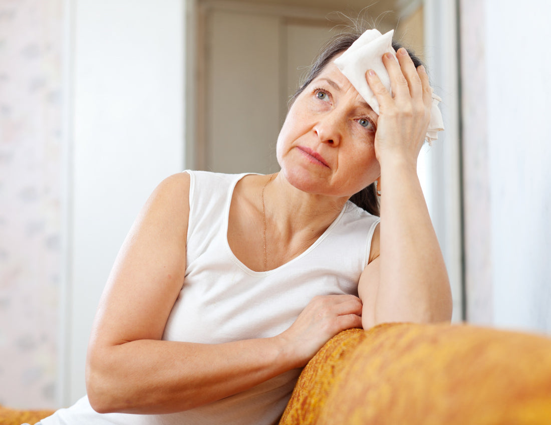 Descubriendo el poder de los estrógenos naturales en la menopausia