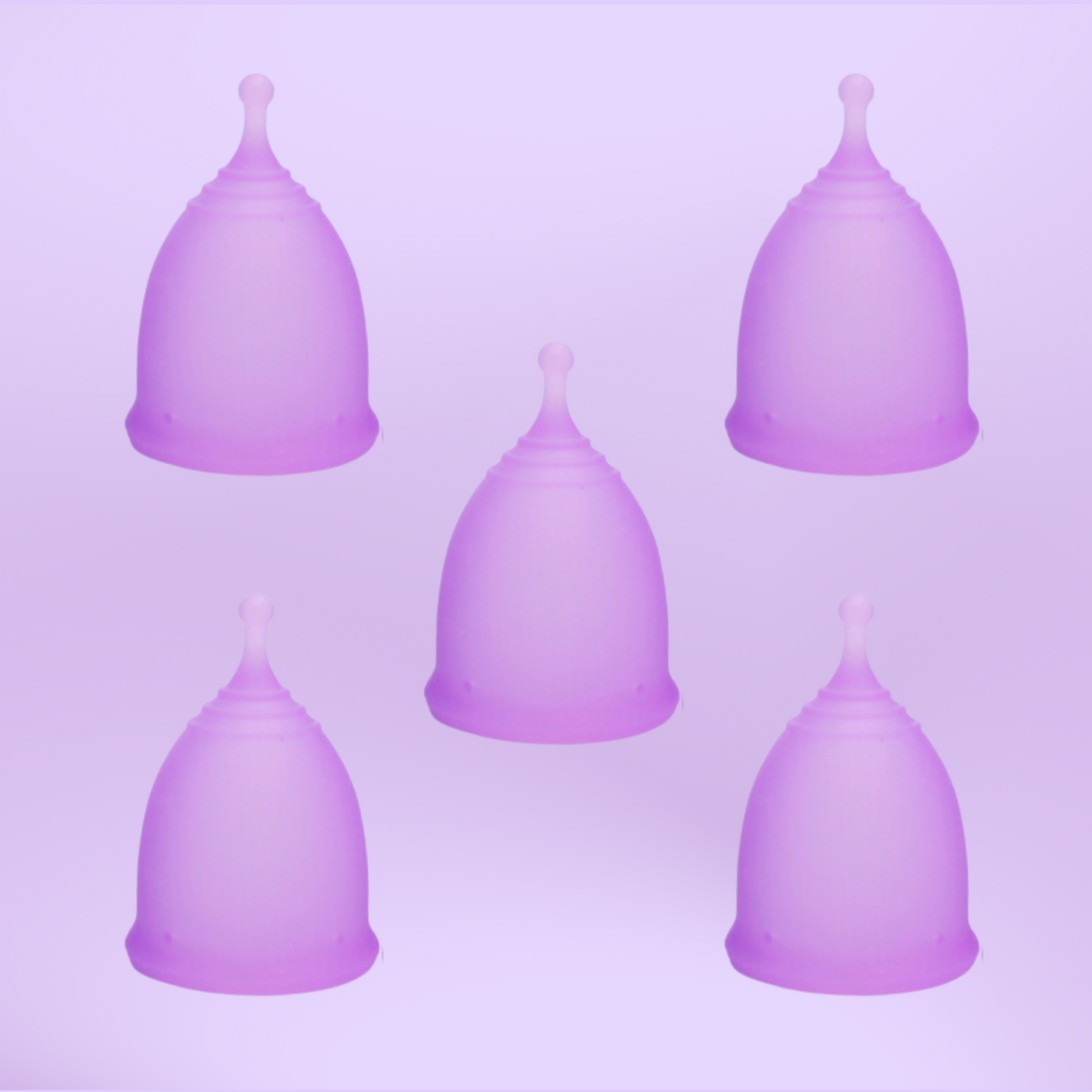 5 copas menstruales lilas